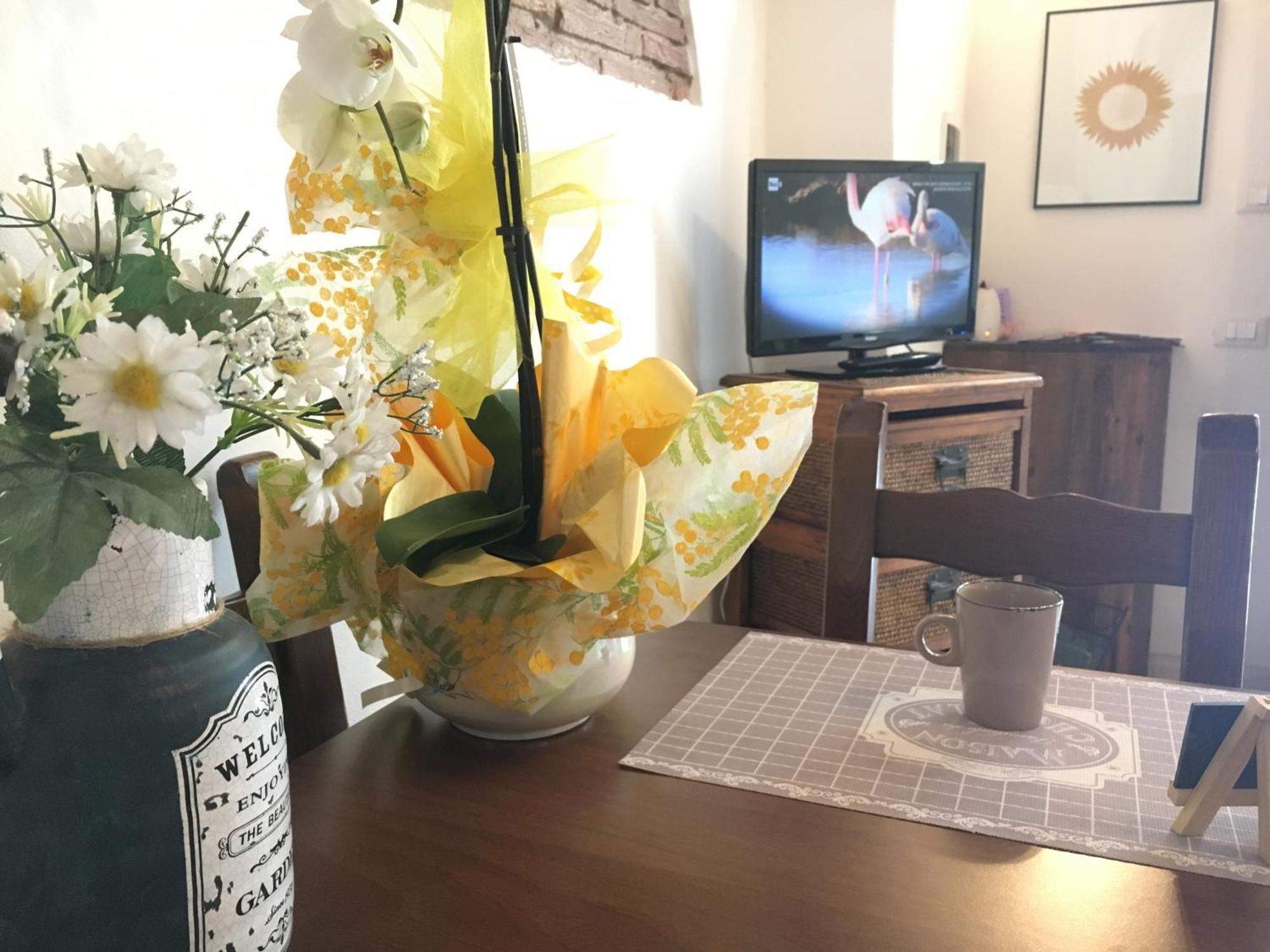New Maria'S House Livorno. Il Cisternoneアパートメント エクステリア 写真